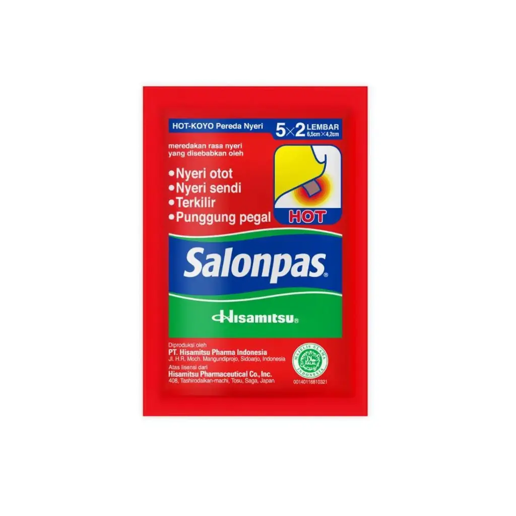 Salonpas Hot Pain Relief Patch - 10 Sheets